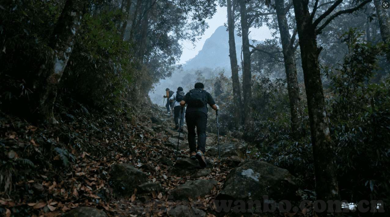 水果机跑马灯音效-水果机跑马灯音效，一场视听盛宴的奇妙融合